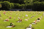 Imagem interna da funerária cemitério parque repouso da saudade